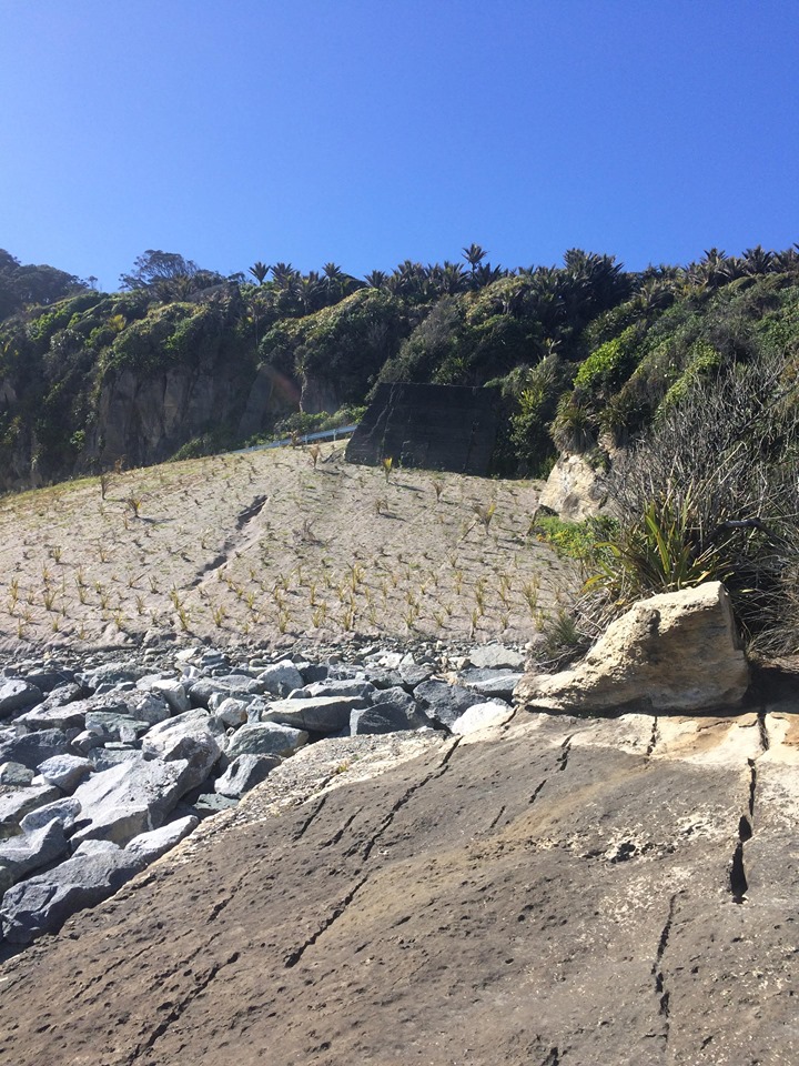 Great Wall of Punakaiki takes climbing spot - The Paparoa Great Walk