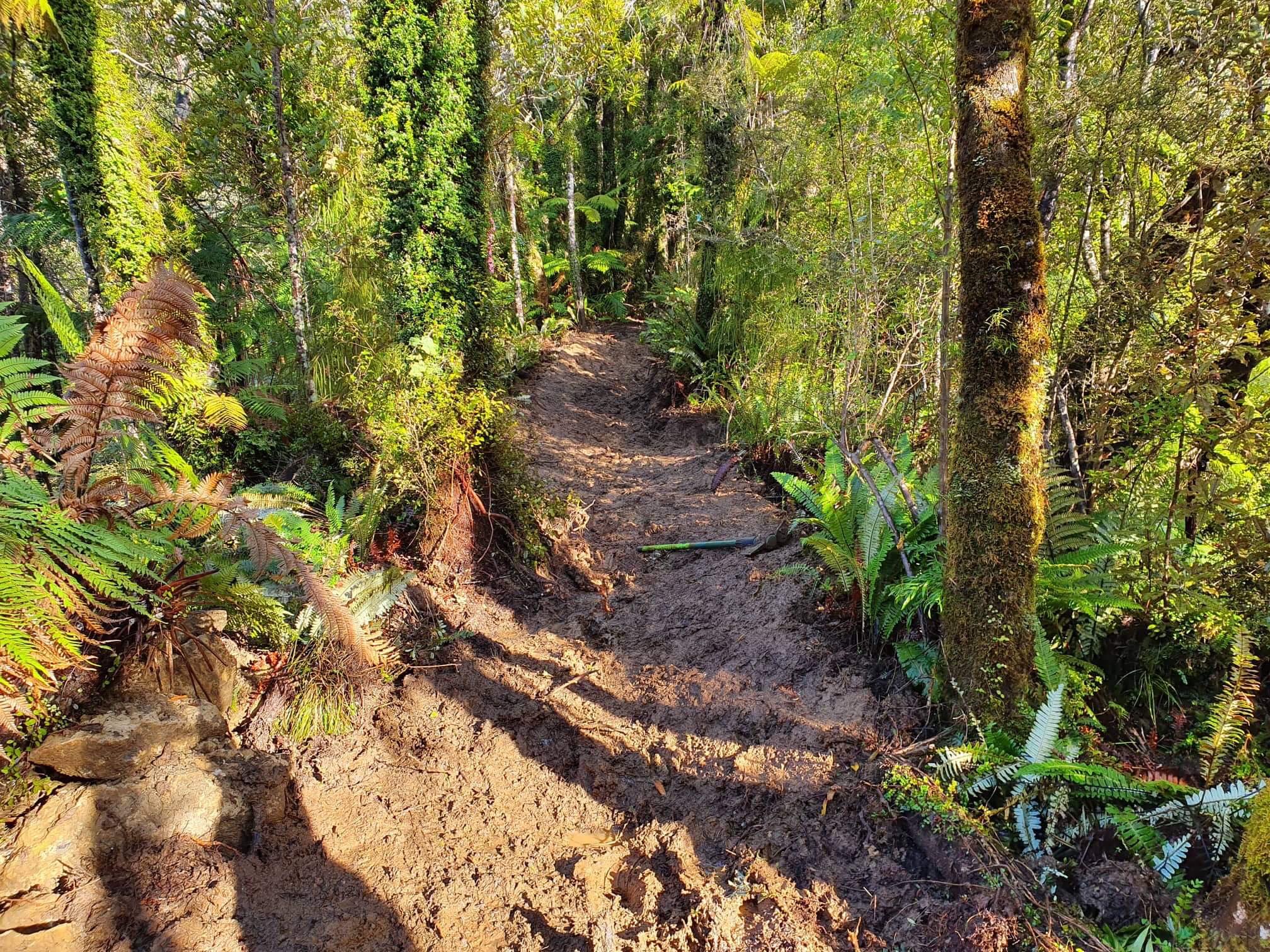 Paparoa Track, one more month! - The Paparoa Great Walk