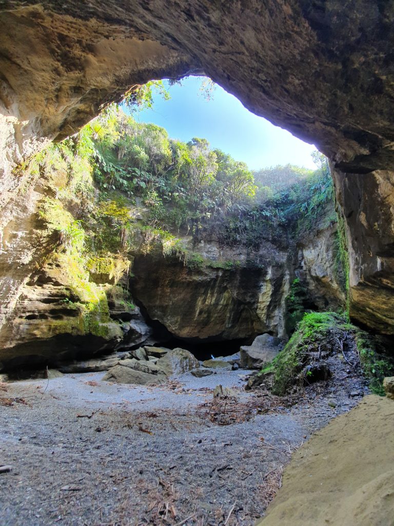 Living in Paradise during Covid-19 - The Paparoa Great Walk